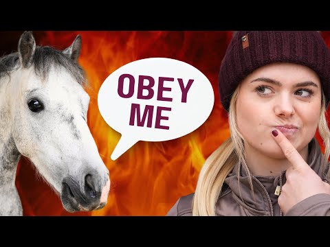 Letting My Horses Control My Life For a Day! - CHAOS edition - This Esme