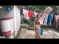 Saree Vlog इस सीजन में पहली बार बनाया गाजर का 