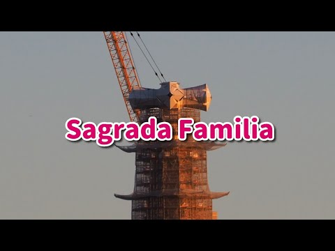Progress on the Sagrada Familia Basilica - January 27, 2026