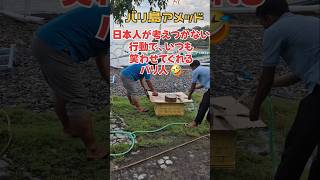 #バリ島 #アメッド #スタッフ の #笑える 行動！#面白い #バリ人 #balinese #amed #bali #funny #shorts