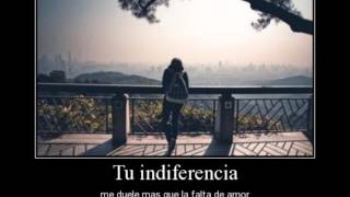 AMARTE DUELE..LOS REHENES