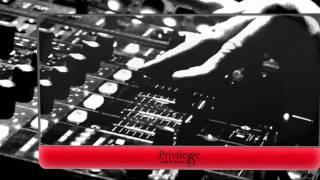 Privilege Ibiza World Tour 2011