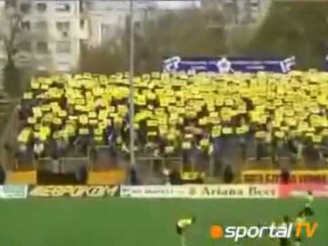 Bultras Presentation