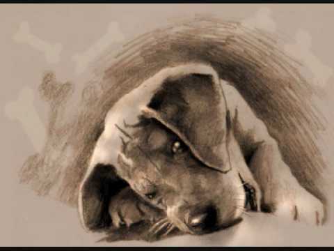 Video thumbnail for Black Sheep Boy #4