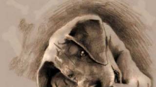 Okkervil River - Black Sheep Boy #4