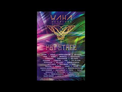 Tsuyoshi Suzuki mix @ WAHA Festival in Romania July 2019