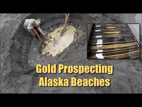 Alaska Beach Prospecting - LOTS of FINE Gold