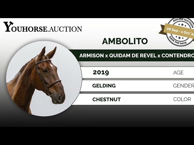 Ambolito showvideo