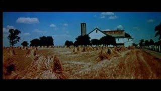 Mica P. Hinson - Don't You