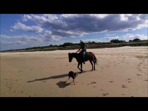 Emugully diggers sweet heart - HSH beach ride