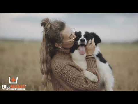 FullBucket Pet care line teams up with Chats with Chatfields!