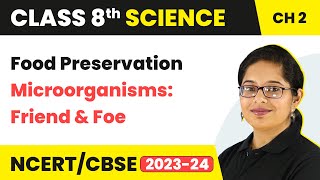 Food Preservation - Microorganisms: Friend and Foe | Class 8 Science Chapter 2