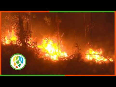 Actualización sobre los incendios forestales activos en Pinar del Río