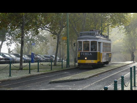 Aug 21, 2020 - Andrew Ludasi