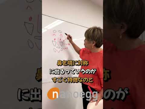 経済システム学科 肝斑とシミの違い③ #shorts #肝斑とシミの違い