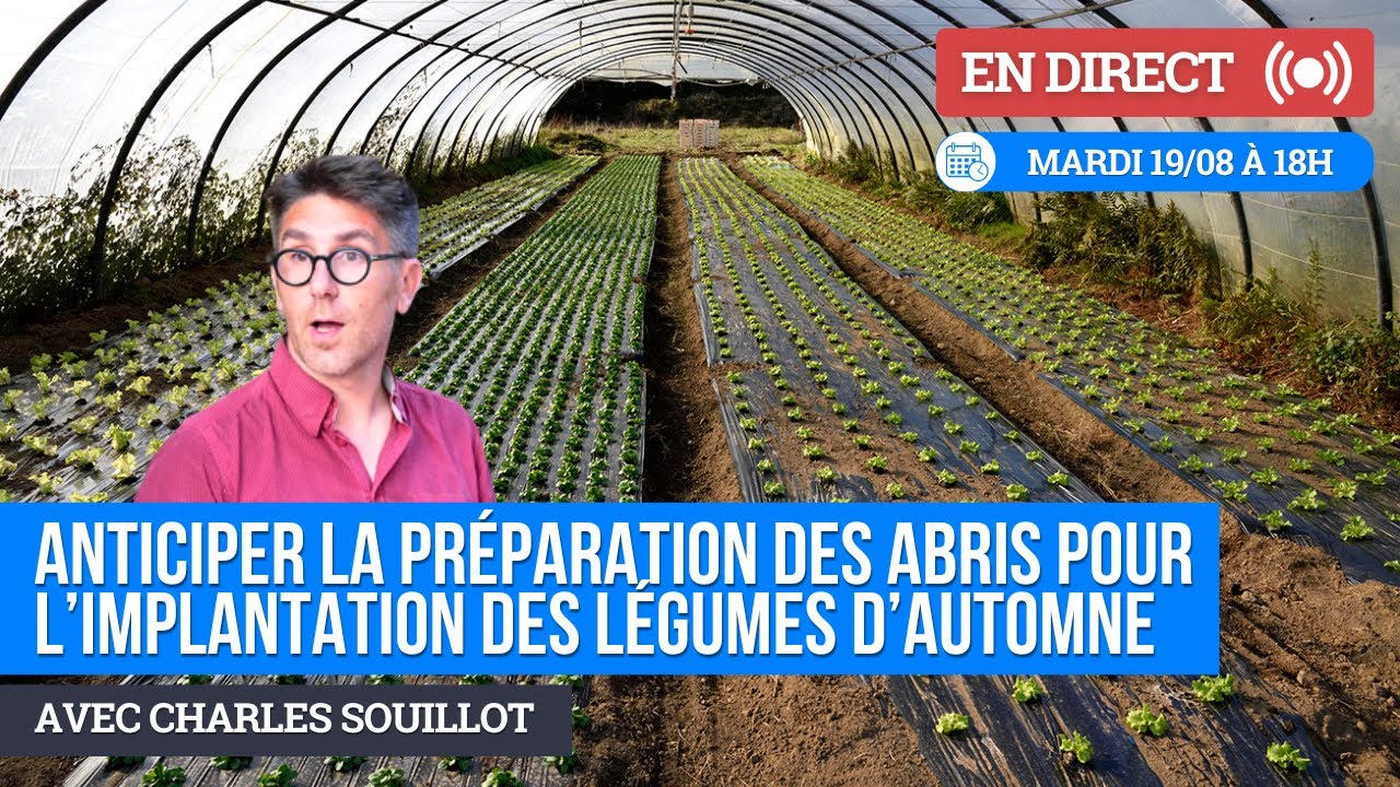 Anticiper la préparation des abris pour l'implantation des légumes d'automne