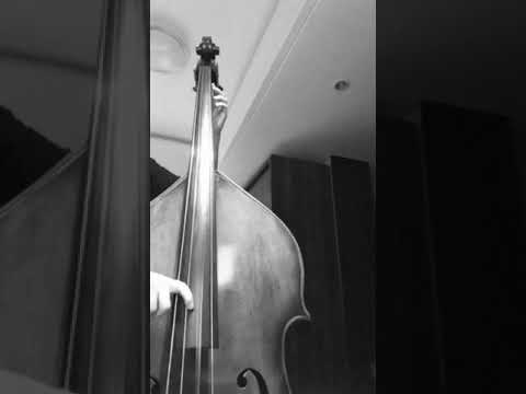 larry grenadier no moon at all transcription with piastro evah pirazzi slap gut(G,Dstring)