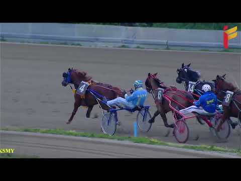 VII Corsa del 12 Marzo 2022 - 4 Anni - Metri 1600