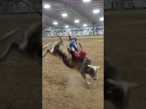 JC Mortensen and 501 Guapo