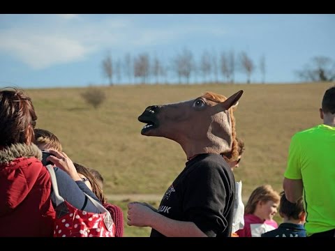 Comic Relief Royston Gallopathon 2015