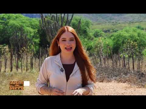 Conheça João Costa, município que possui mais de 50% da área total do parque Serra da Capivara