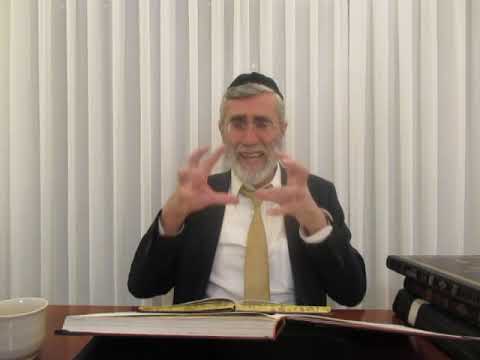 הרב יהושע ביבי - תשפ"ו - שער המצוות - שיעור מס' 031 - מטרת הבירורים משער הליקוטים דף פ''ט ע''א
