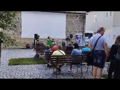 Falešný poplach - Falešný poplach - Because the night (cover)