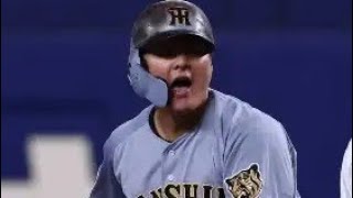 代打・前川右京、奇跡の逆転打🔥家族の前で放った“運命の一打”#阪神タイガース#前川右京#プロ野球#逆転劇#サヨナラ級#ヒーローインタビュー#野球ハイライト#スポーツ感動#若虎#NPB
