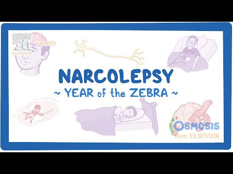 Achalasia Year of the Zebra