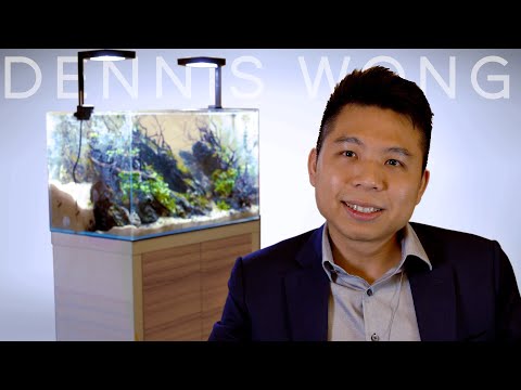 Master Aquascaper Answers Beginner Questions