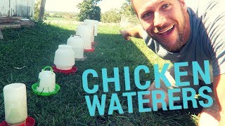 Which Chicken Waterer Is For You?