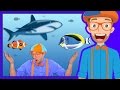 At An Aquarium With Blippi Fish For Kids