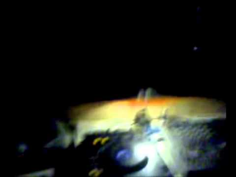 Sir Colin - Sexy Ladies (South Blast! High Voltage Remix) @ POWER CLUB