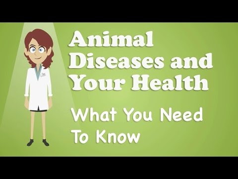 Animal Diseases and Your Health - What You Need To Know