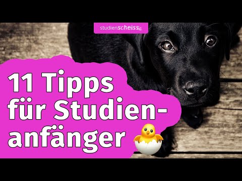 Studienanfänger aufgepasst: 11 fundamentale Tipps zum Studieren die jeder Ersti kennen muss