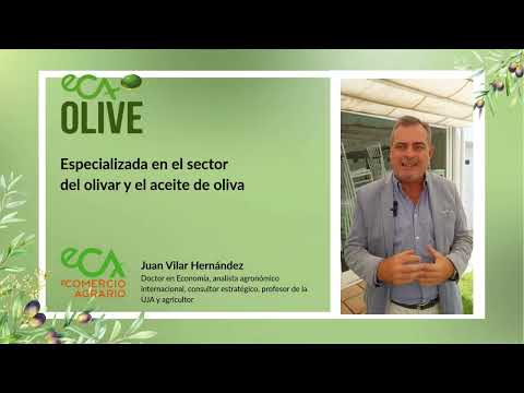 Fotograma del vídeo: Competencia global, mercado inestable y un consumidor más exigente: los desafíos de la olivicultura