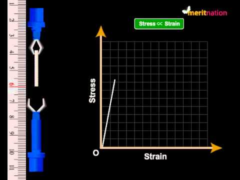 Hooke's Law - Stress and Strain Test