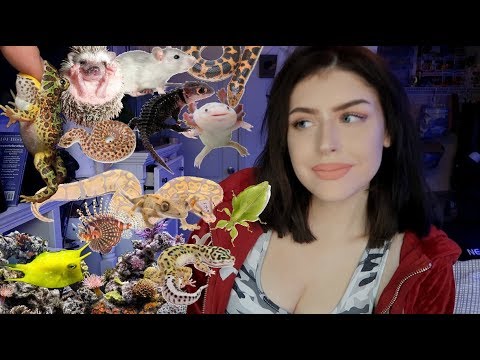 私の動物たちに夕食を与える（毎日の日課 (GIVING ALL MY ANIMALS THEIR DINNER (Daily Routine))