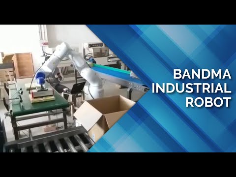 Articulated Robot