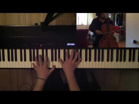 Stay The Night (Cello and Piano cover)