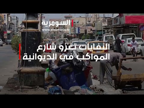 شاهد بالفيديو.. النفايات تغزو شارع المواكب في الديوانية