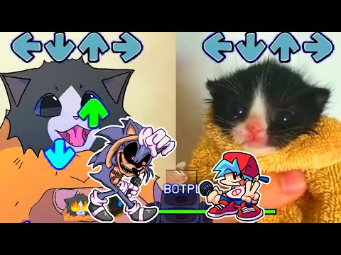 Sonic.exe EXECUTED BUT Towel Cat VS ANIMATED TOWEL Cat? - VS Lord X FNF Mod