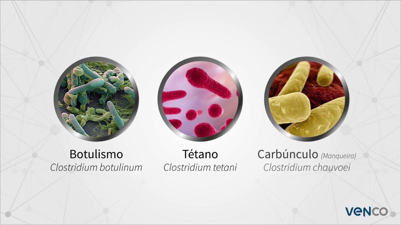 BOTULISMO | TRATAMENTO PARA ANIMAIS