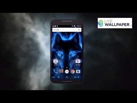 Wolf Live Wallpaper Video