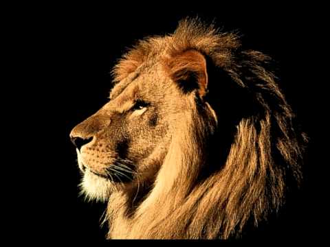 RDH DUBWISE STYLE - PromoMix