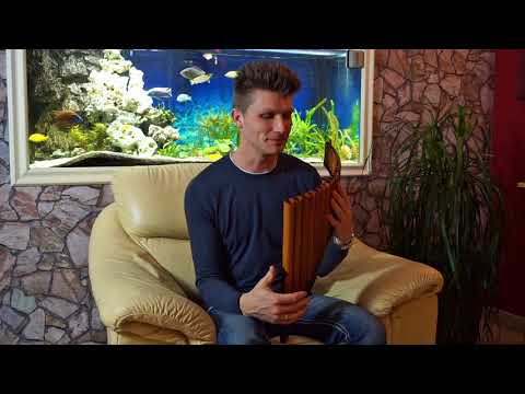 Erste Töne auf der Panflöte – Lernvideo & Panflöten Tipps - David Döring | Flauta de Pan | Pan flute