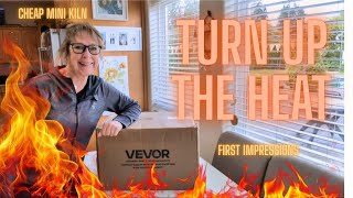 LET'S HEAT THINGS UP! Vevor Mini Kiln FIRST IMPRESSIONS. Let's open up this baby! #vevor