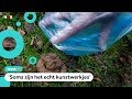 Kunstenaar maakt foto's van hondendrollen