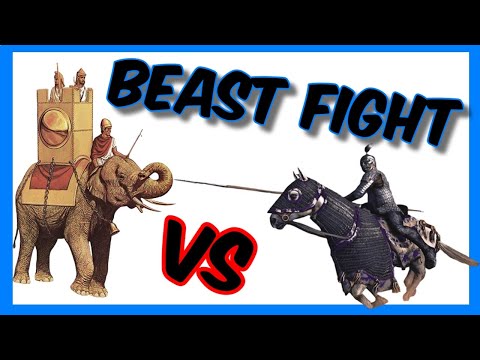 🐘War elephants VS Cataphracts 🐎| Rome 2 Total War Fights