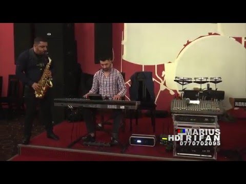 Formatia Adrian de la Severin 2016 - Instrumentala colaj LIVE NOU